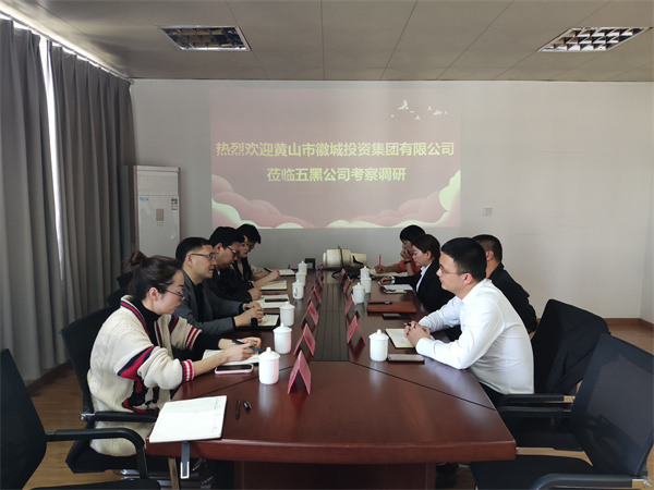4月21日，集團黨委委員、常務副總經理，公司董事長兼總經理方亮帶隊赴黟縣考察“黟品五黑”區域公用品牌運營推廣機制和“五黑”農業特色產業發展情況.jpg