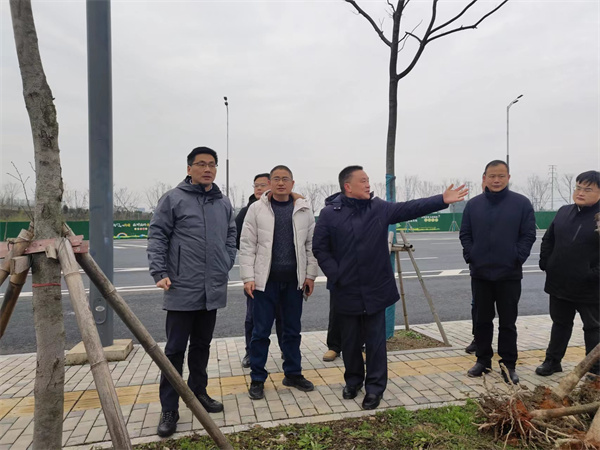 2月14日，洪董陪同王奇勇縣長一行督導衛拍地塊.jpg