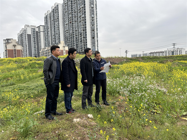 3月29日，張總陪同汪盛縣長調度揚之學校征地.jpg
