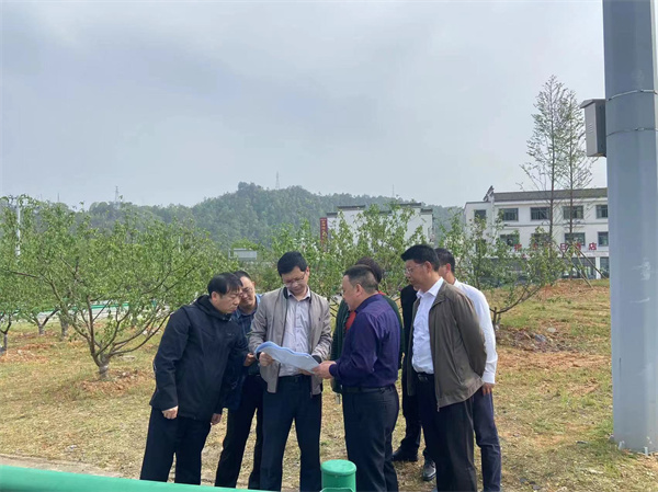 4月15日下午，汪盛副縣長帶隊赴北岸指導金山道口整體風貌提升工作.jpg